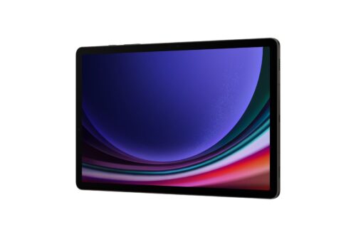 GALAXY TAB S9 11 12GB/256GB WIFI GRAPHITE - immagine 6