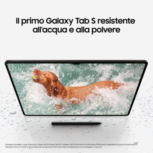GALAXY TAB S9 11 12GB/256GB WIFI GRAPHITE - immagine 20