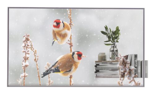 55  OLED, 1920X1080, 16:9