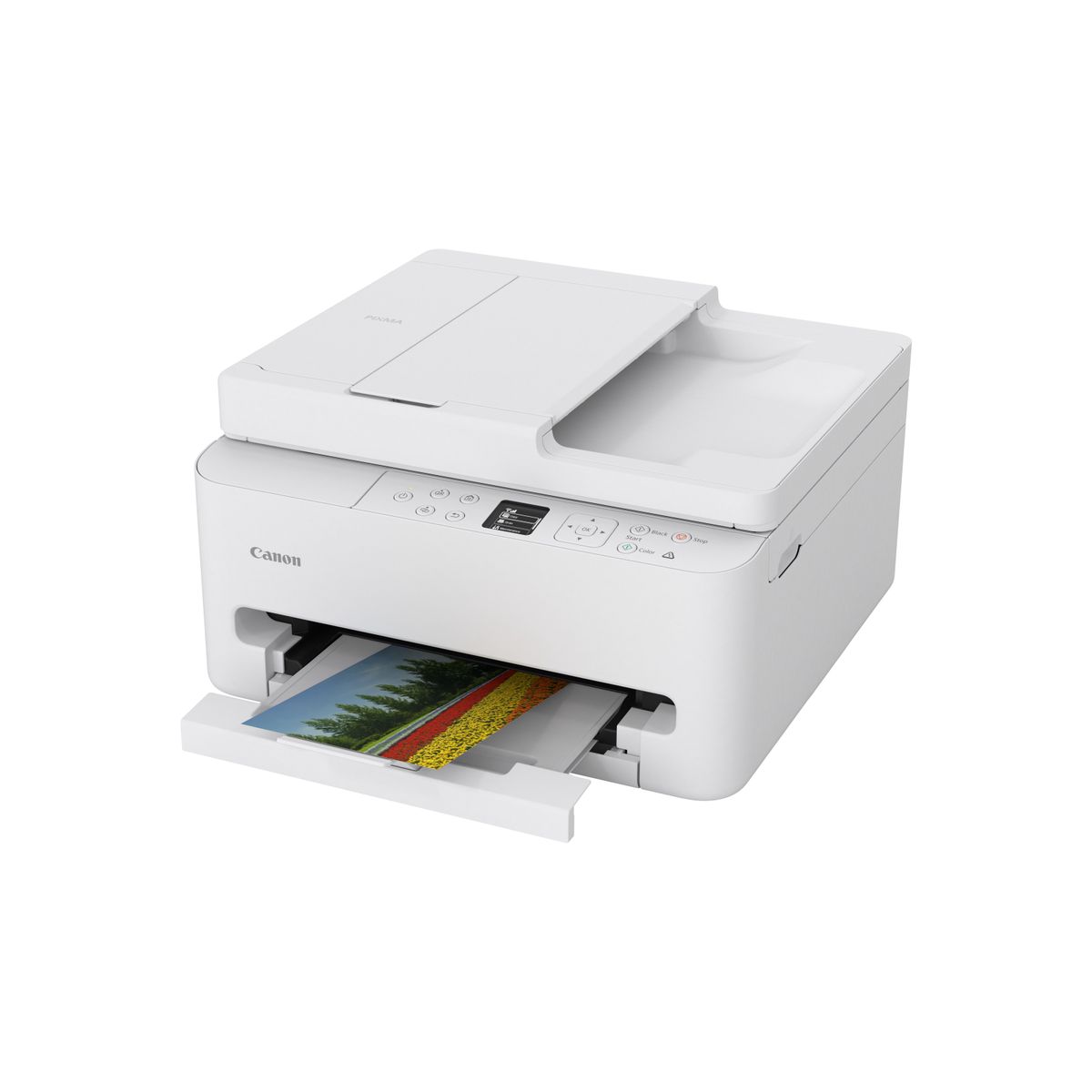 PIXMA TS7550i White - immagine 5