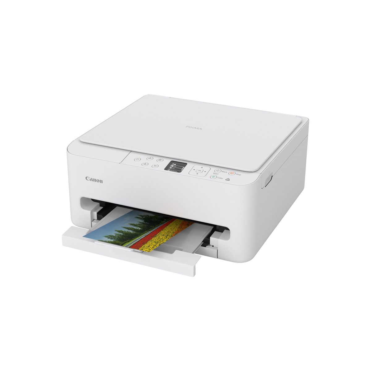 PIXMA TS6550i WHITE - immagine 5