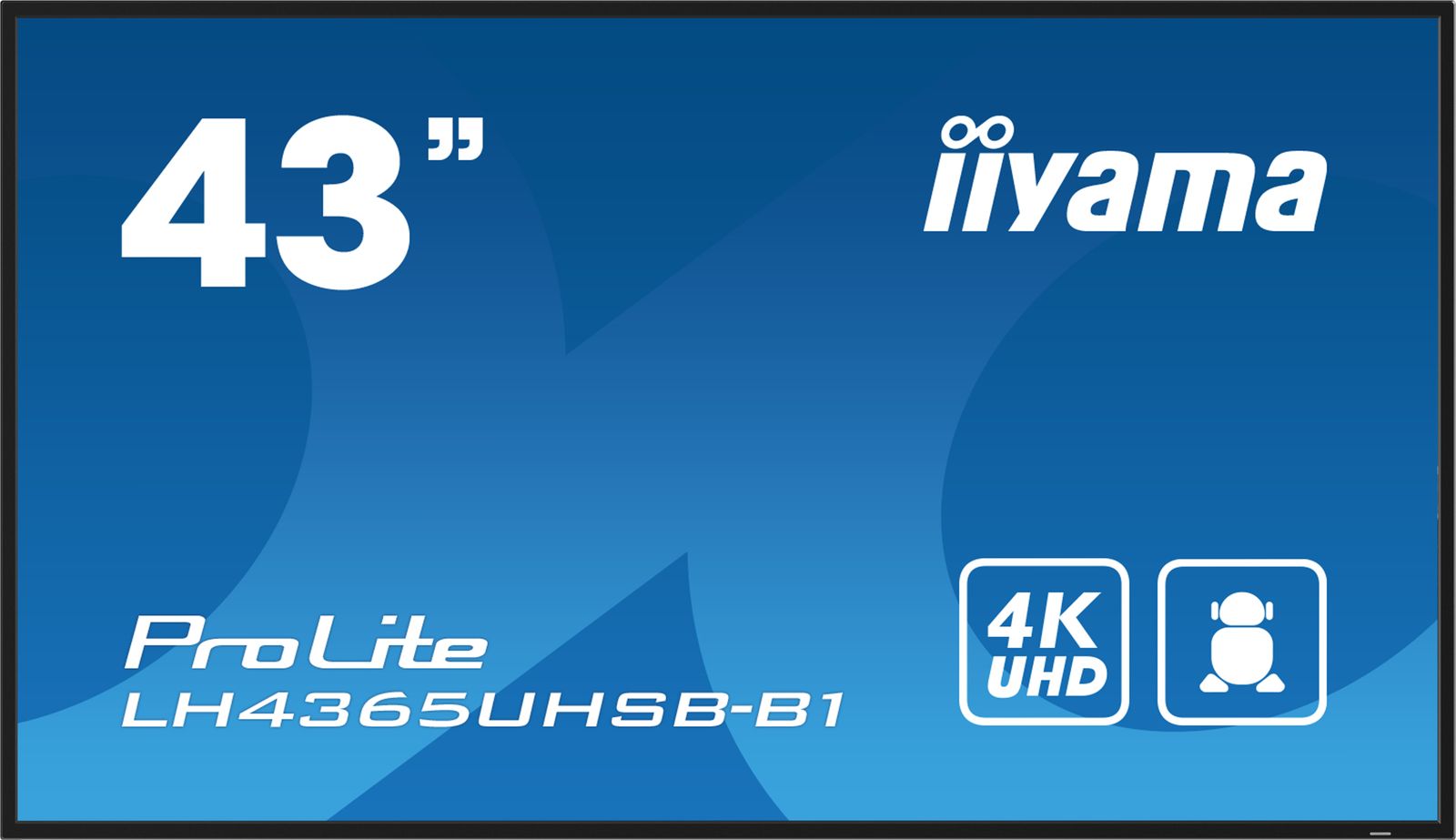 43 3840x2160, UHD IPS panel