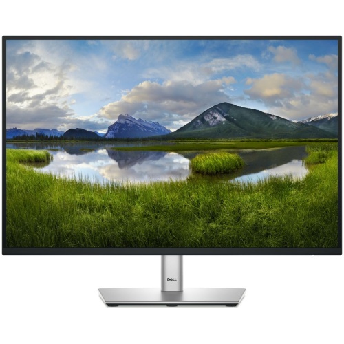 DELL 24 MONITOR P2425