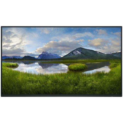 DELL 24 MONITOR P2425H WITHOUT STAND