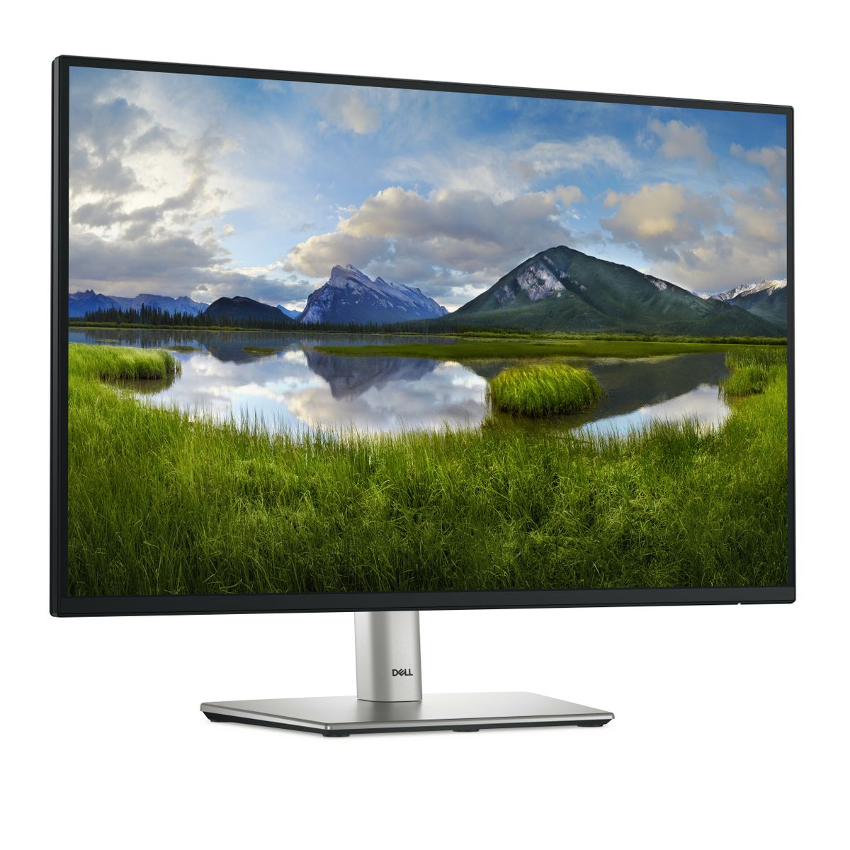 DELL 24 USB-C HUB P2425E - immagine 3