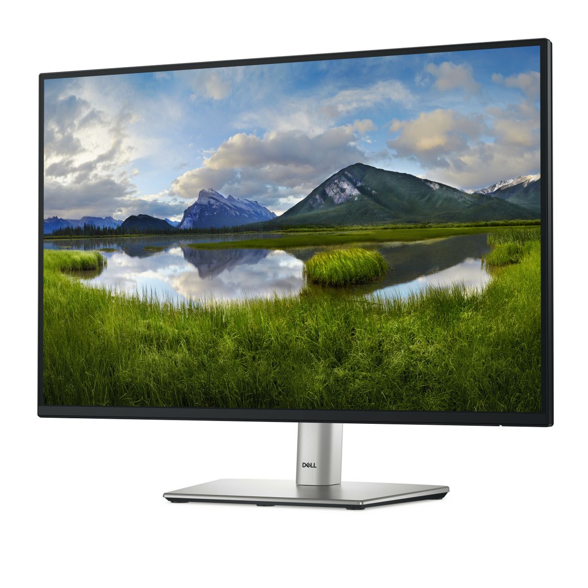DELL 24 USB-C HUB P2425E - immagine 2