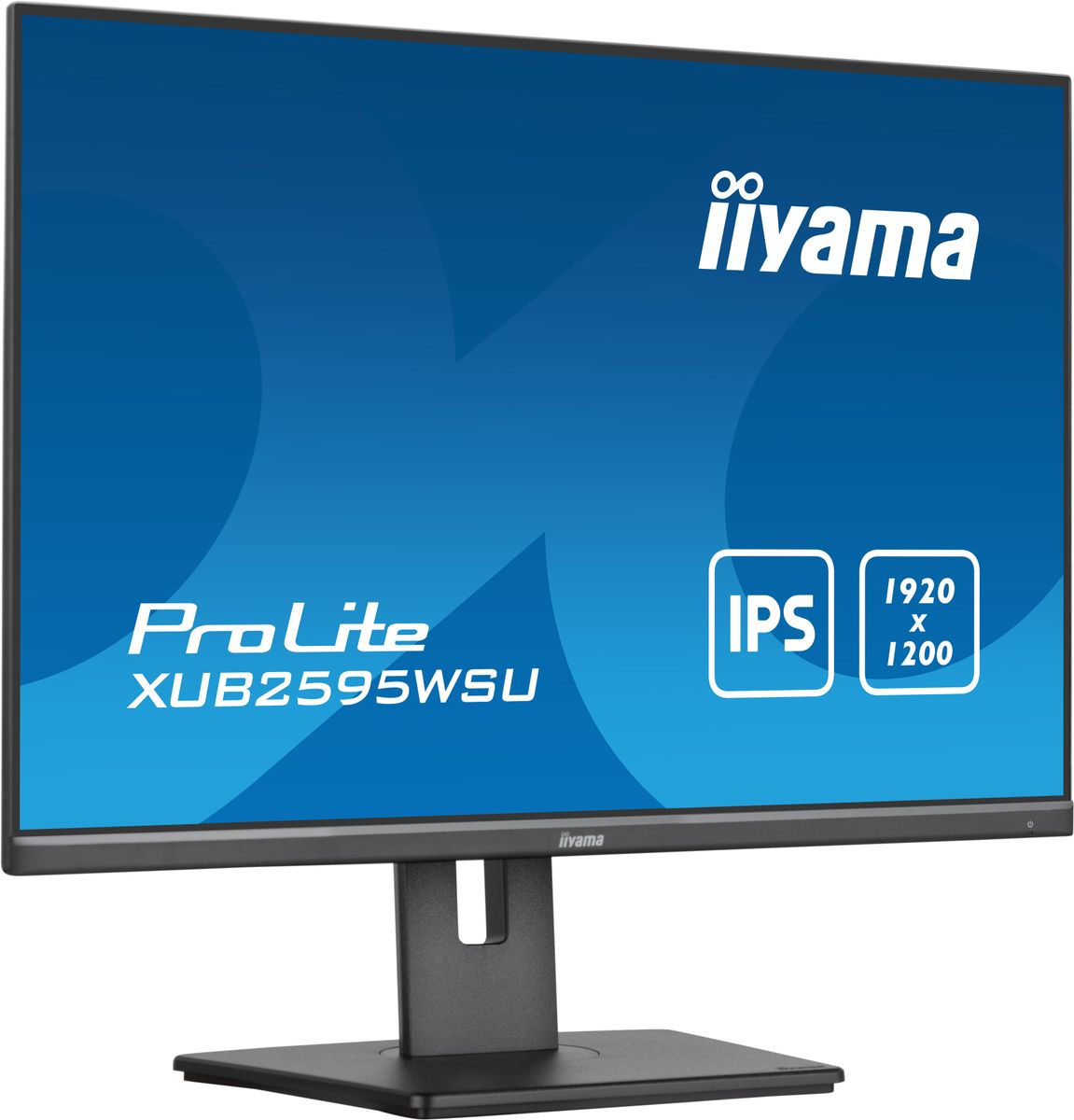 25 Business WUXGA IPS - immagine 4