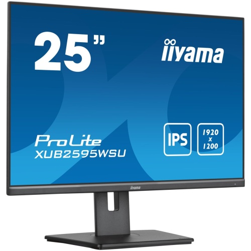 25  Business WUXGA IPS