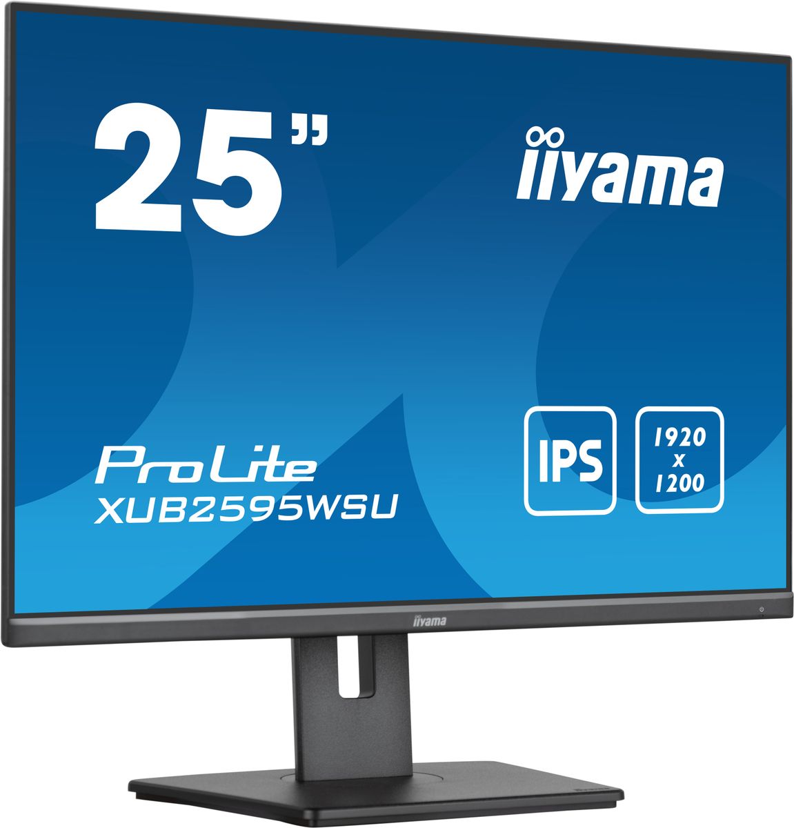 25 Business WUXGA IPS