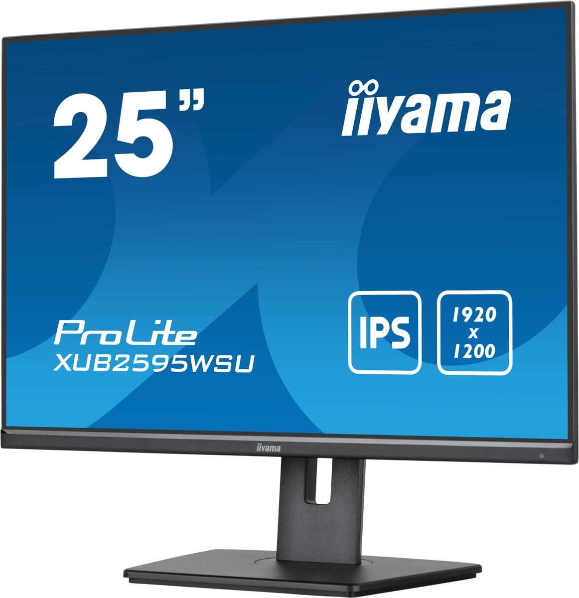 25 Business WUXGA IPS - immagine 5