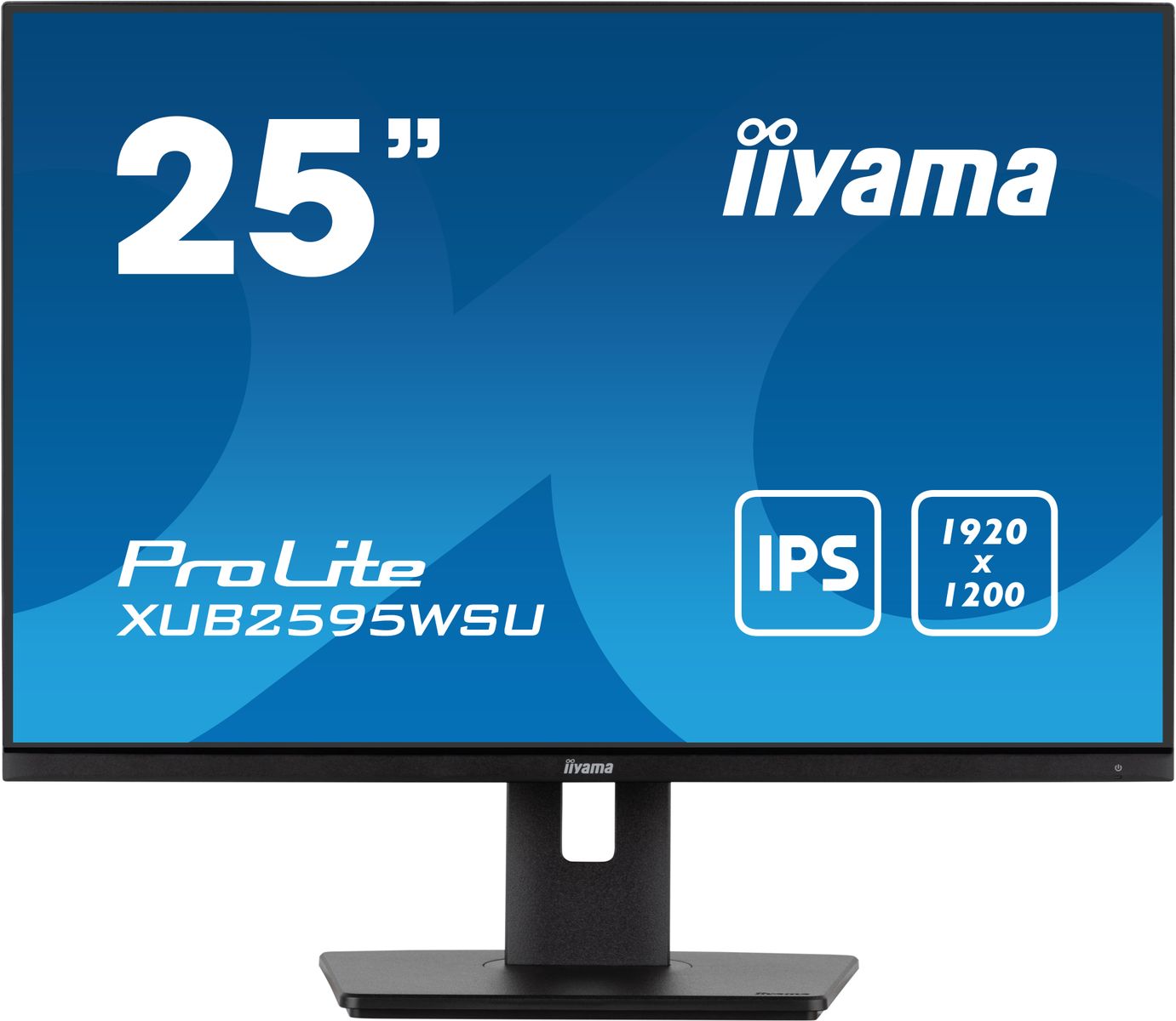 25 Business WUXGA IPS - immagine 2