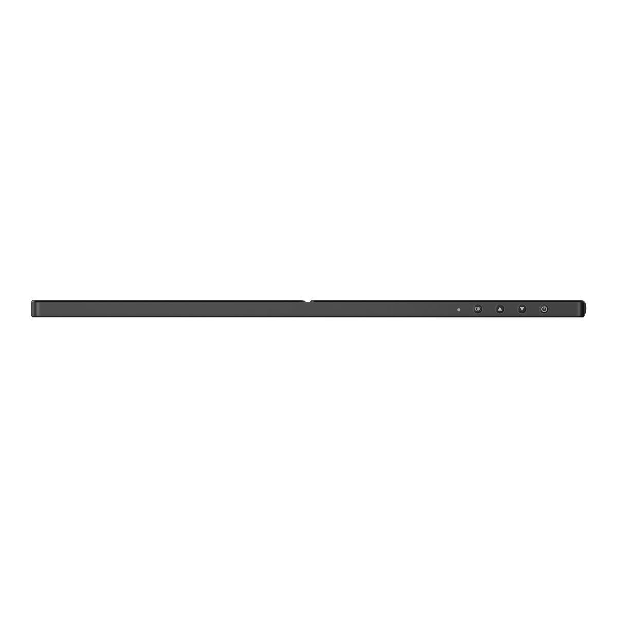 16 16:9 ISP 1920X1080 USBC - immagine 4