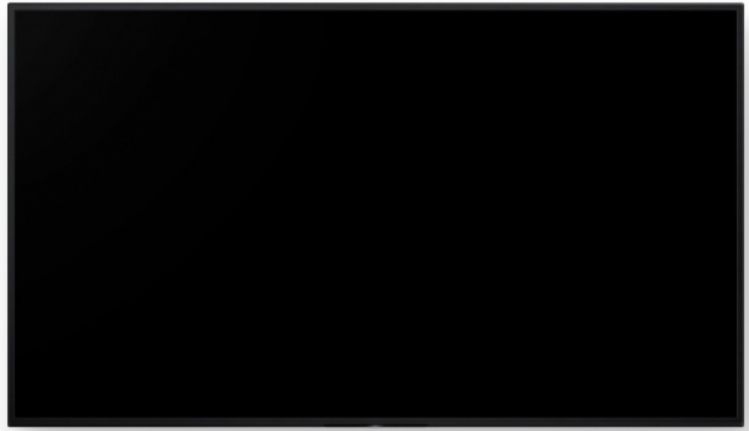 65 LED 4K 440 24/7 - immagine 2