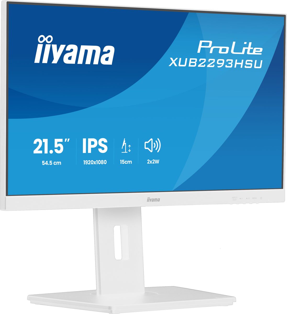 21,5 BUSINESS FHD IPS