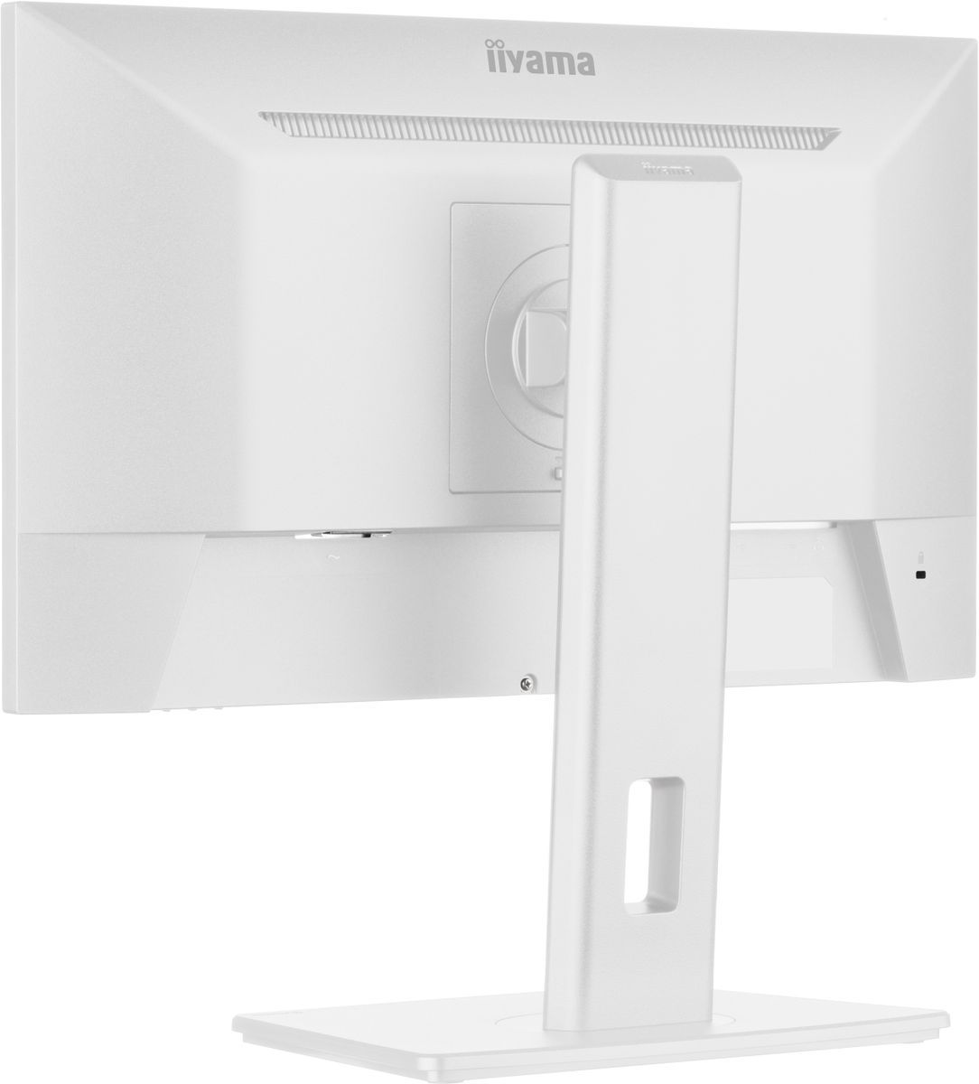 21,5 BUSINESS FHD IPS - immagine 11