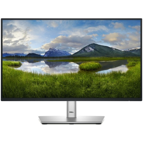 DELL 22 MONITOR P2225H