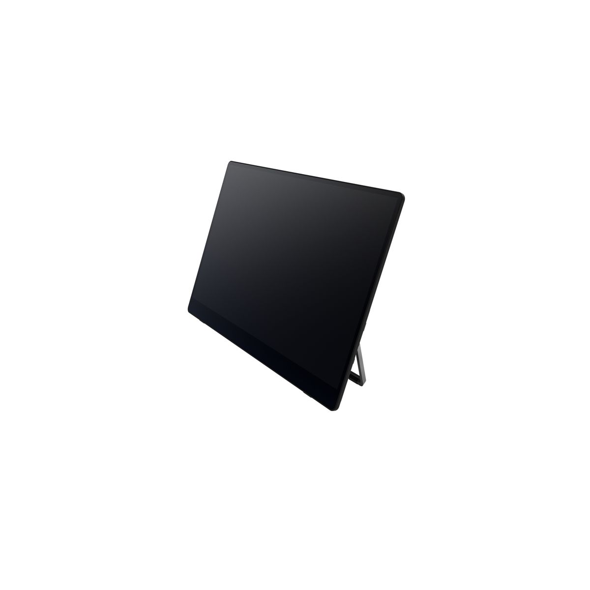 MONITOR PORTATILE RICOH 150 - immagine 6