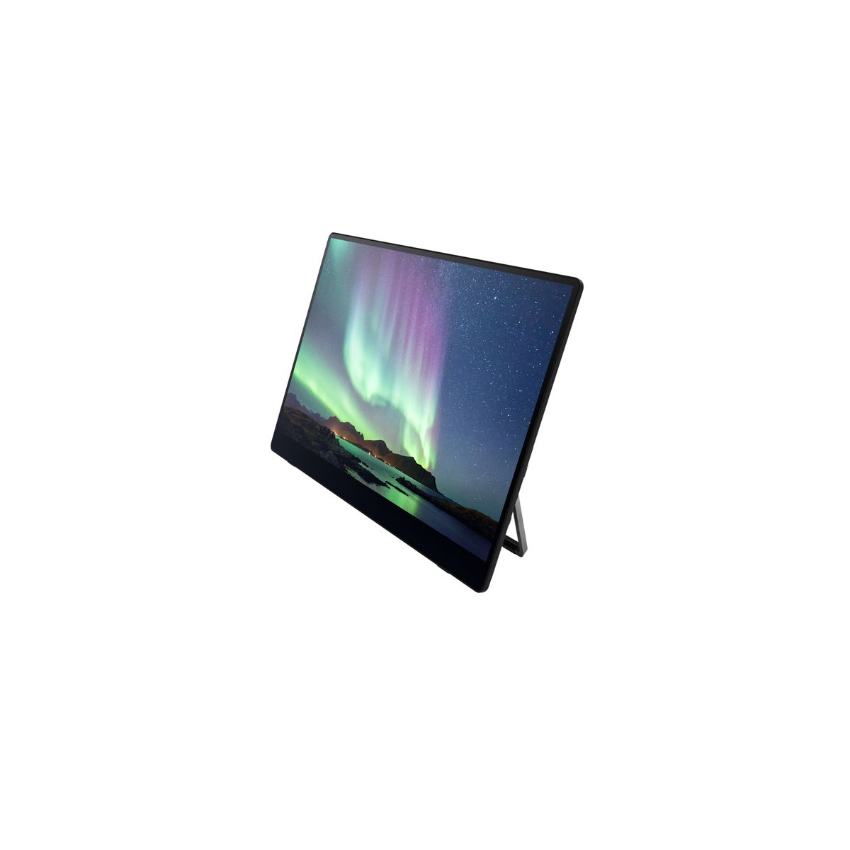 MONITOR PORTATILE RICOH 150 - immagine 5
