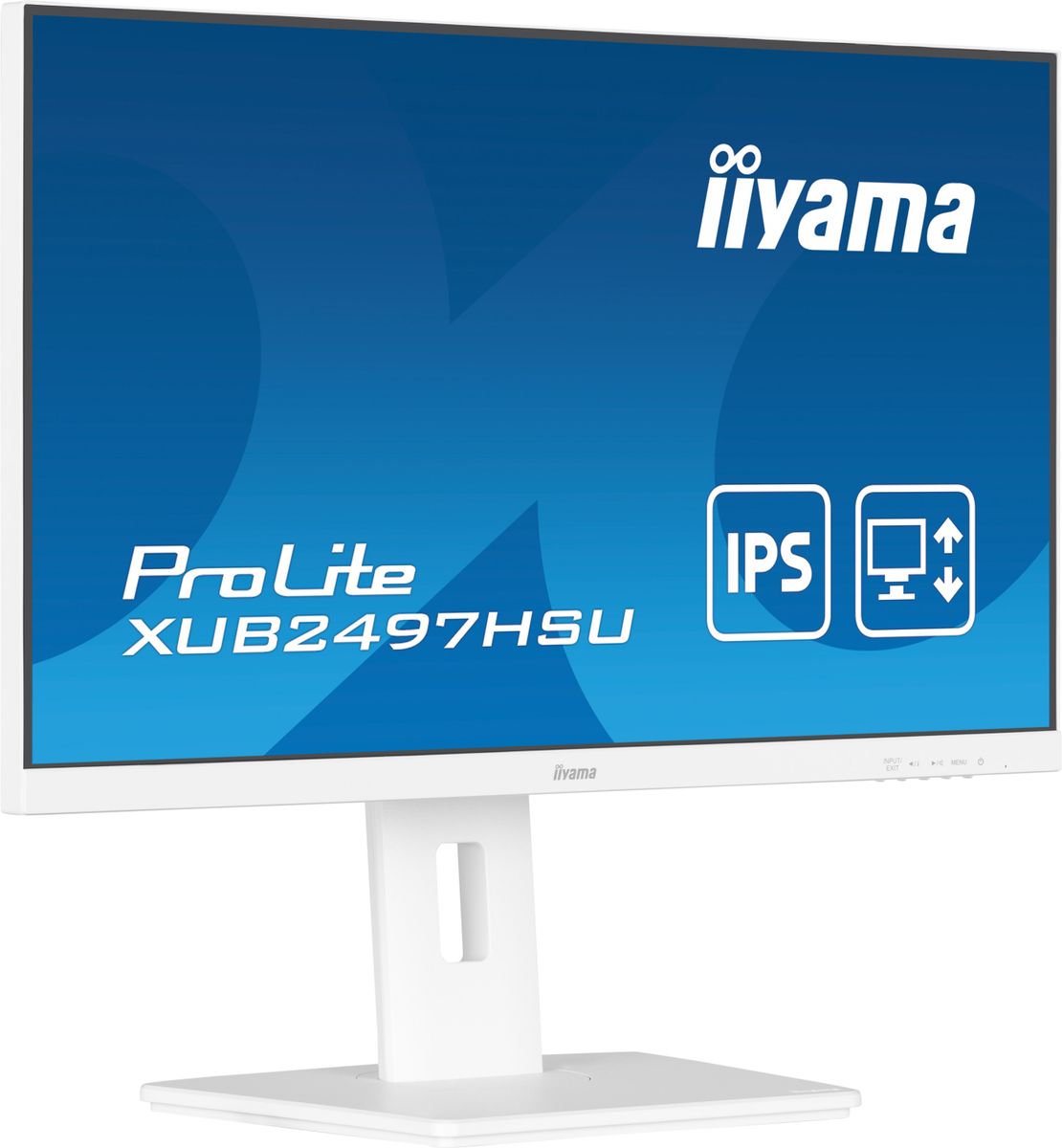 24 WHITE IPS-panel, 1920x1080@100Hz, 15cm Height - immagine 4