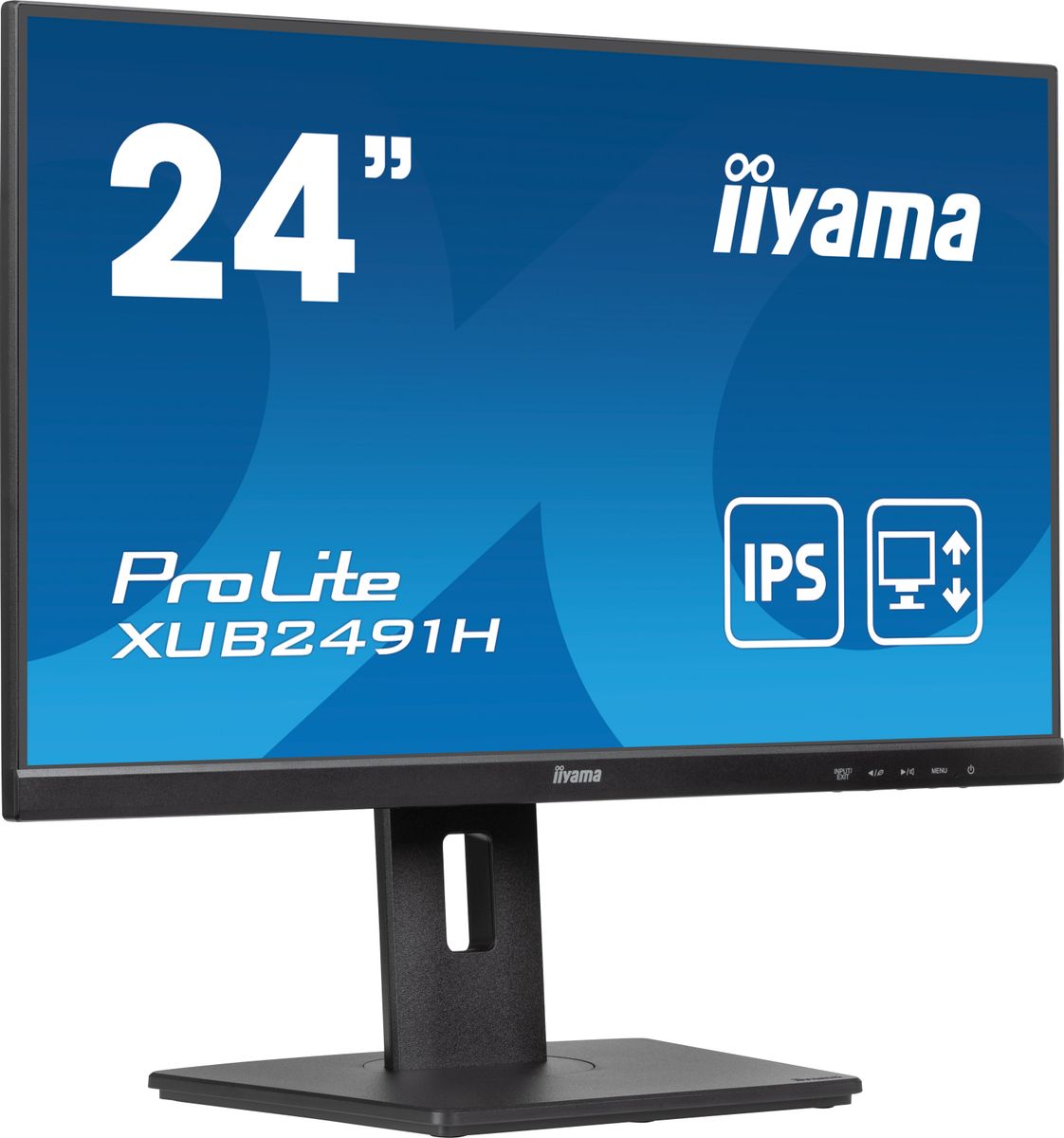 23,8 IPS, 1920x1080/100Hz, 1H1DP, HAS - immagine 2