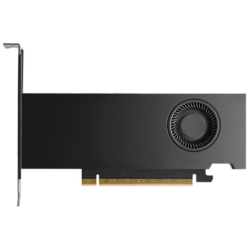 RTX PRO 2000 BLACKWELL 16GB GDDR7 BULK OEM VERSION