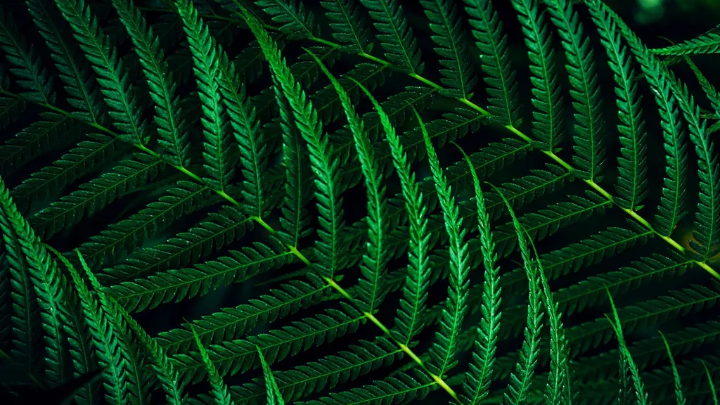 27 16:9 WLED 1920X1080 100HZ - immagine 8