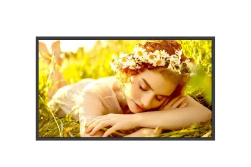 32 LED IPS, 1920X1080, 16:9, 500 NIT 1100:1,