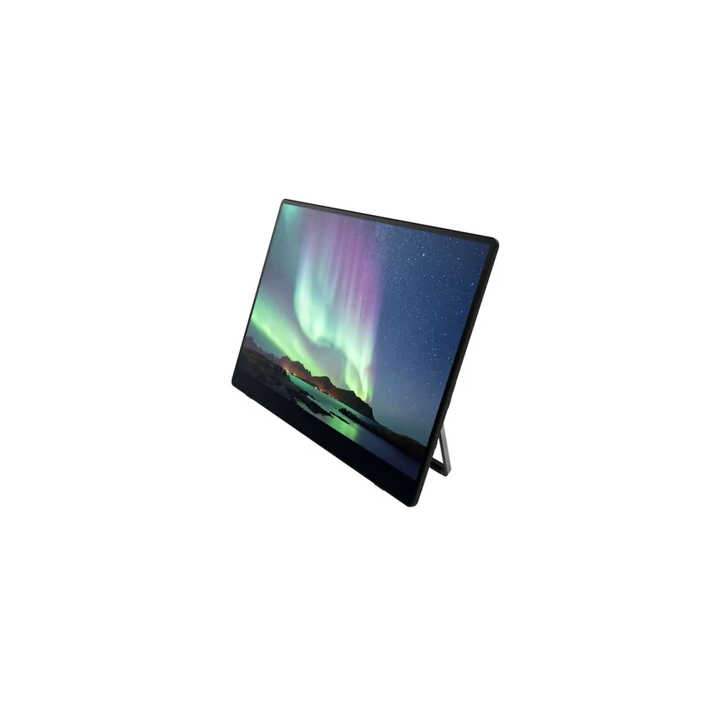 MONITOR PORTATILE RICOH 150BW WIFI - immagine 5