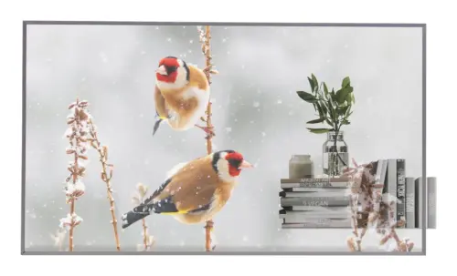 55 OLED, 1920X1080, 16:9