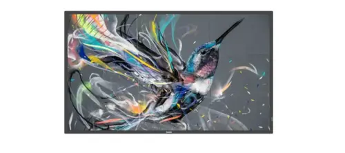 65 Q-LINE 18/7, 4K UHD