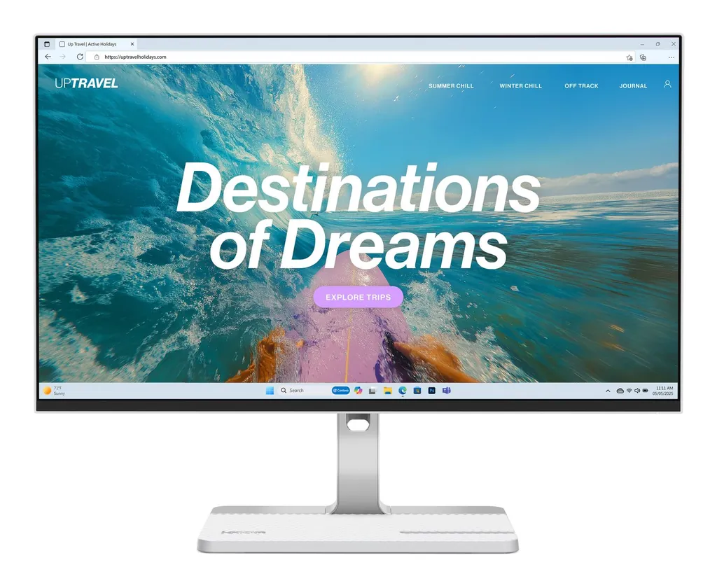 TS THINKVISION L24D-4C 23.8 IPS/FHD/HDMI,DP,USB-C