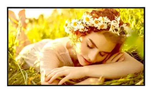 75  LED ADS, 3840X2160, 16:9, 500 NIT, 1200:1,