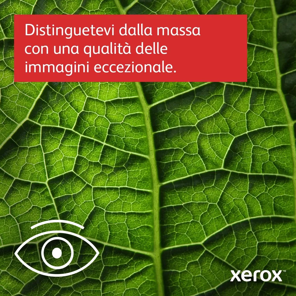 XEROX B225 A4 34 PPM COPIA/STAMPA/SCANSIONE - immagine 11