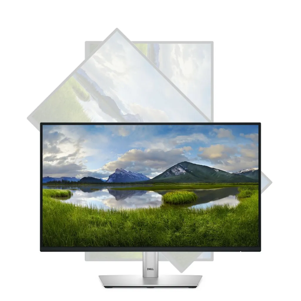 DELL 22 MONITOR P2225H - immagine 11