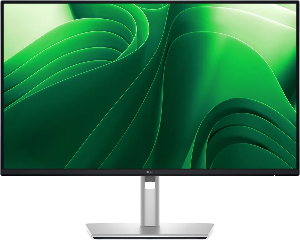 DELL PRO 24 PLUS QHD USB-C HUB MONITOR P2425DE - immagine 2