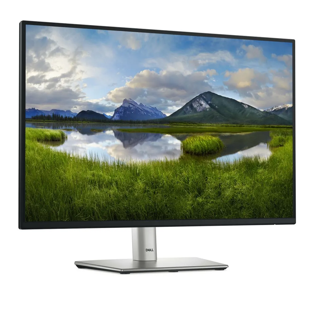 DELL 24 USB-C HUB P2425E - immagine 3