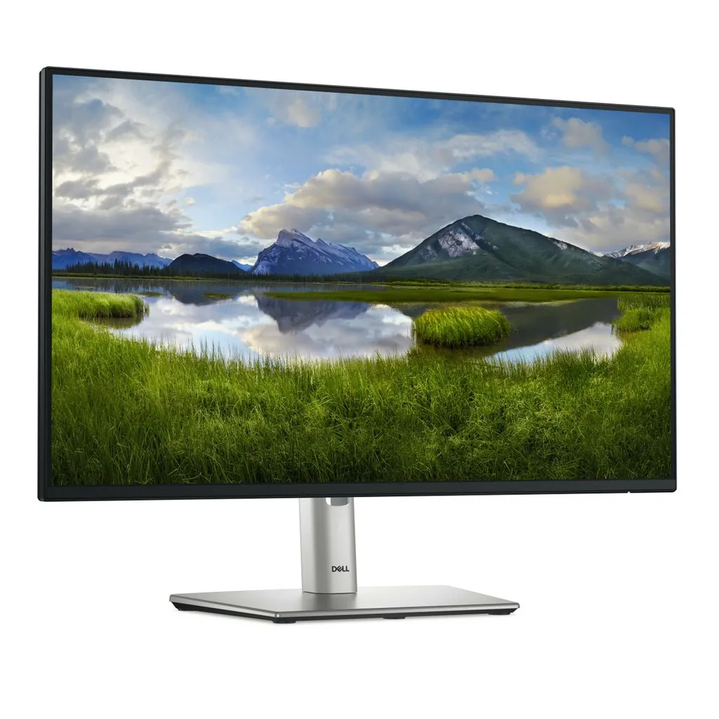 DELL 24 USB-C HUB MONITOR P2425HE - immagine 3