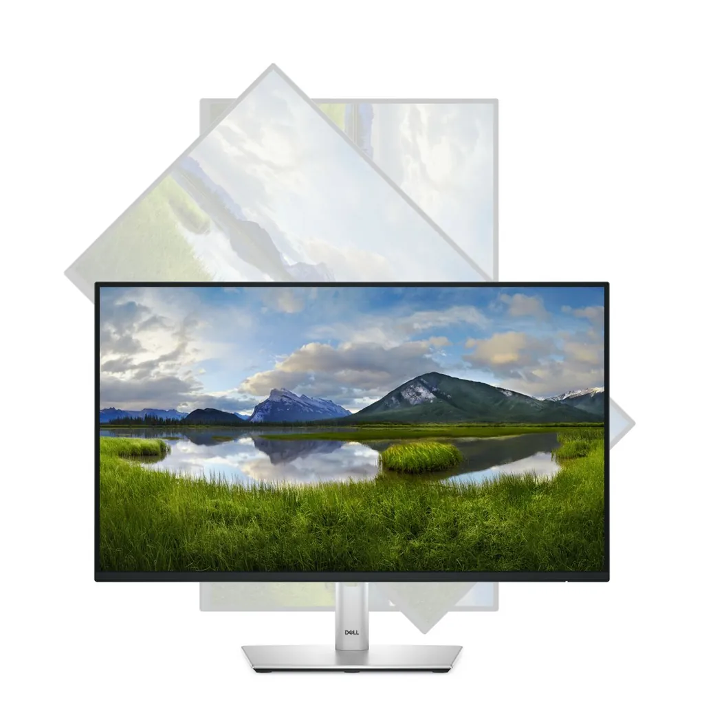 DELL 24 USB-C HUB MONITOR P2425HE - immagine 8