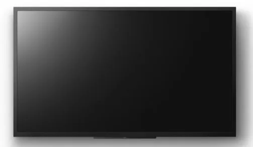 32 4K 24/7 PROFESSIONAL BRAVIA - immagine 4