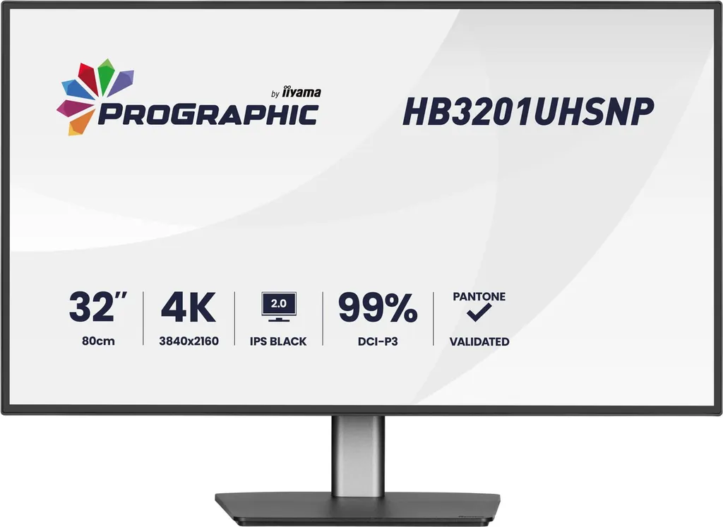 32 IPS 3840x2160 USB-C Dock HDMI DP MULTIMED
