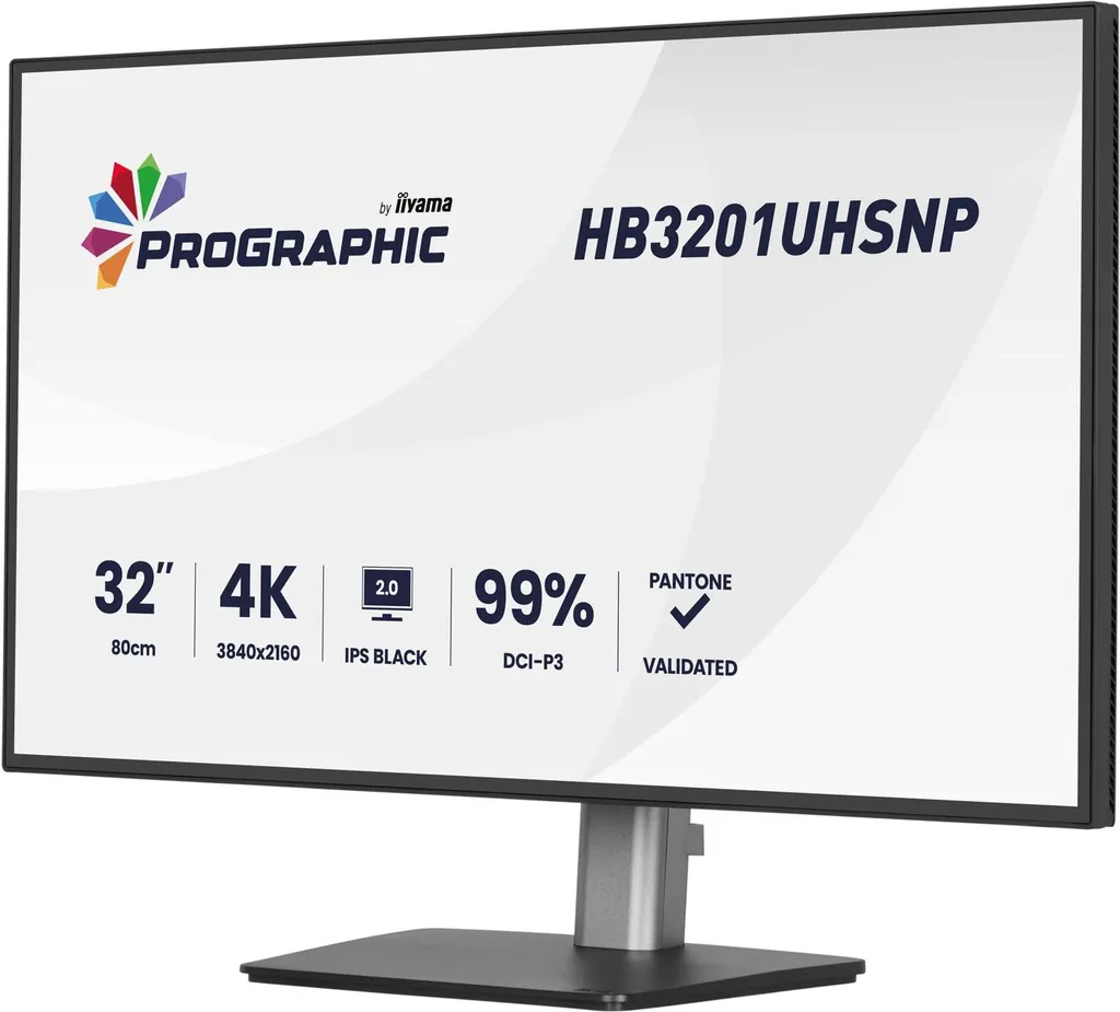 32 IPS 3840x2160 USB-C Dock HDMI DP MULTIMED - immagine 4