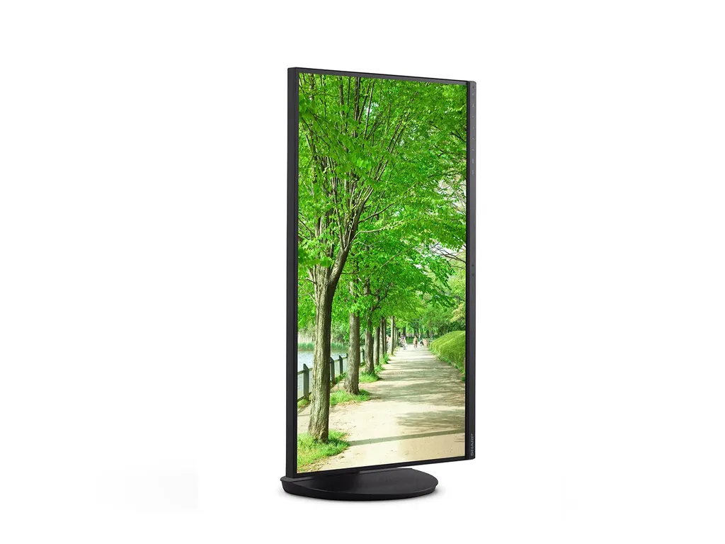 EA272QB - immagine 5