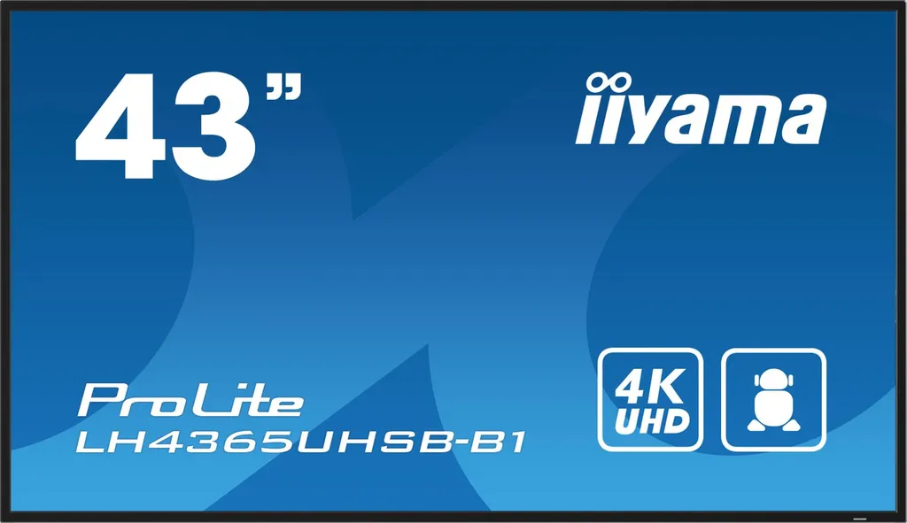 43 3840x2160, UHD IPS panel