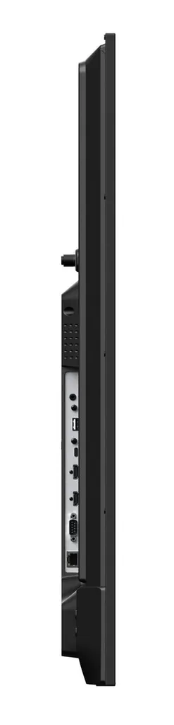 E559 - immagine 3