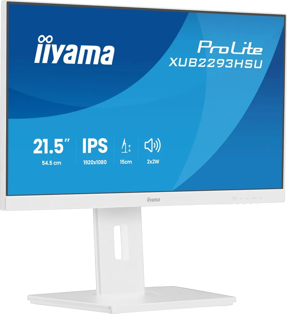 21,5 BUSINESS FHD IPS